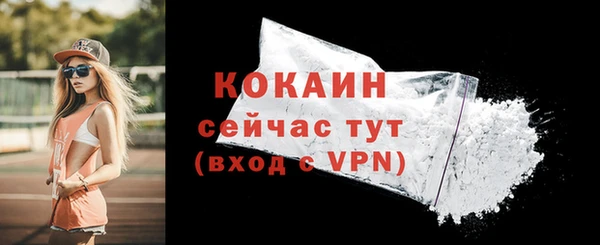 ешки Семилуки